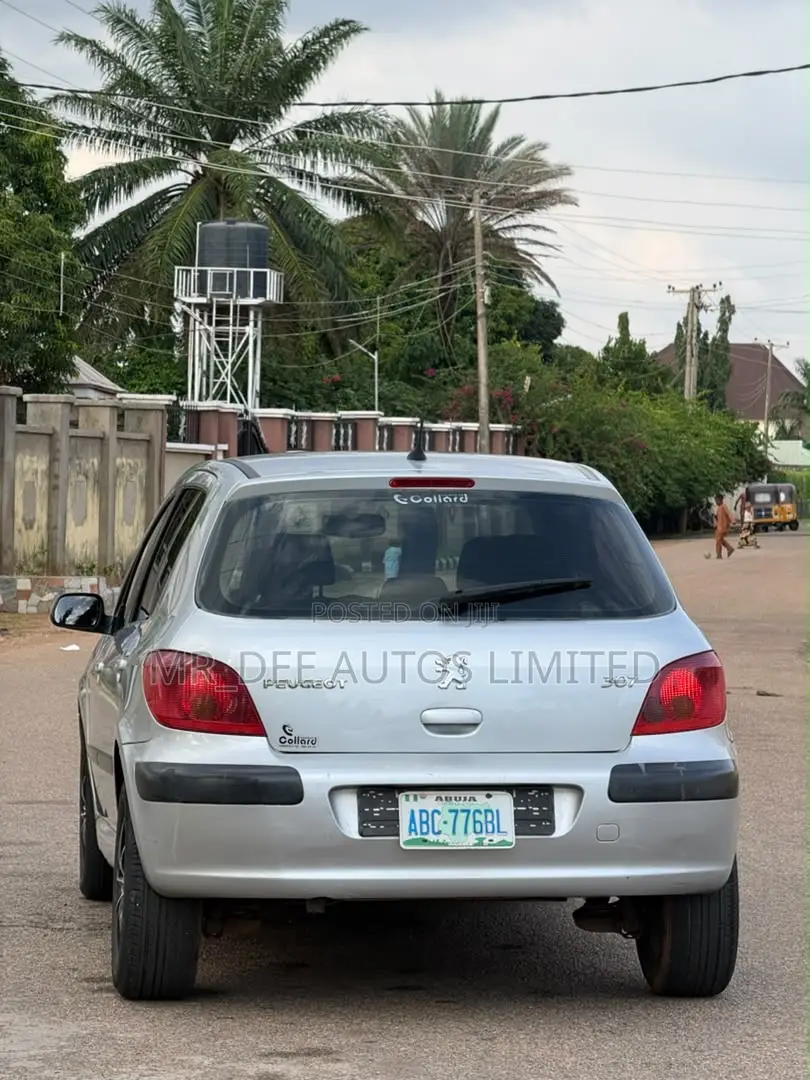 Peugeot 307 2007 Silver