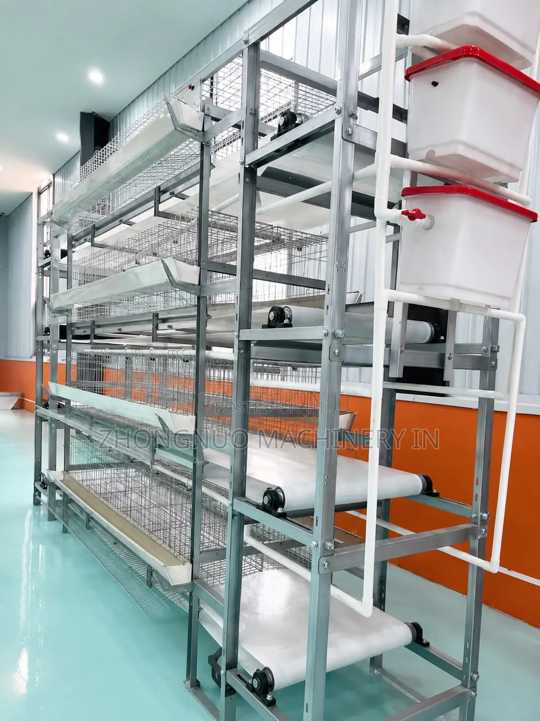 Htype Layer Cages With Manure Belt Remover