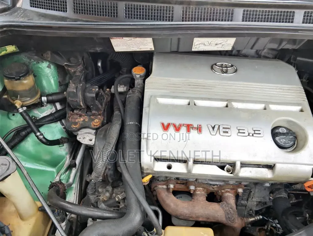 Toyota Sienna 2006 Green