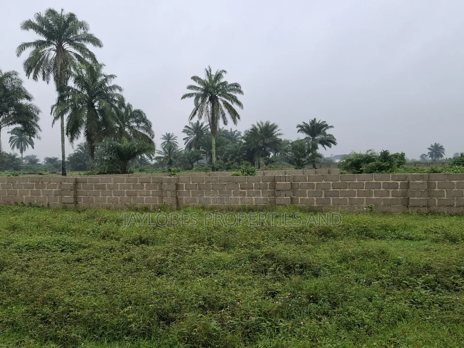 For Sale: 7 Plots at Rupokwu/Igwuruta Axis, Port Harcourt