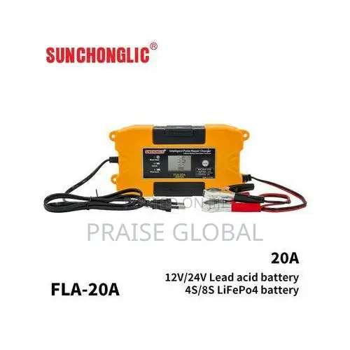 12v/24v 20A Charger Lithium Activation Function to Lead Acid Lifepo4