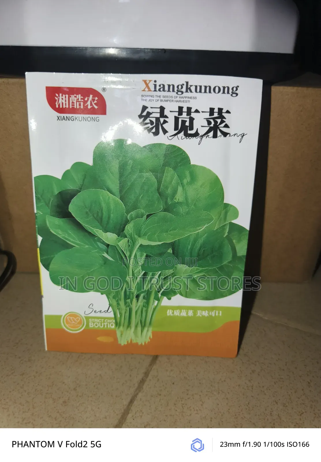 Lettuce Seed