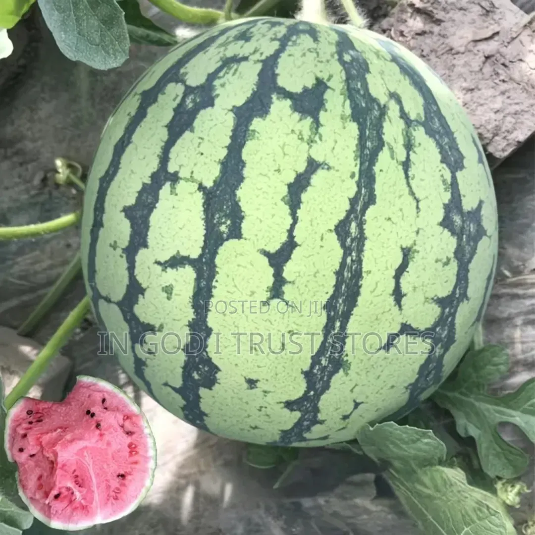 Watermelon Seeds