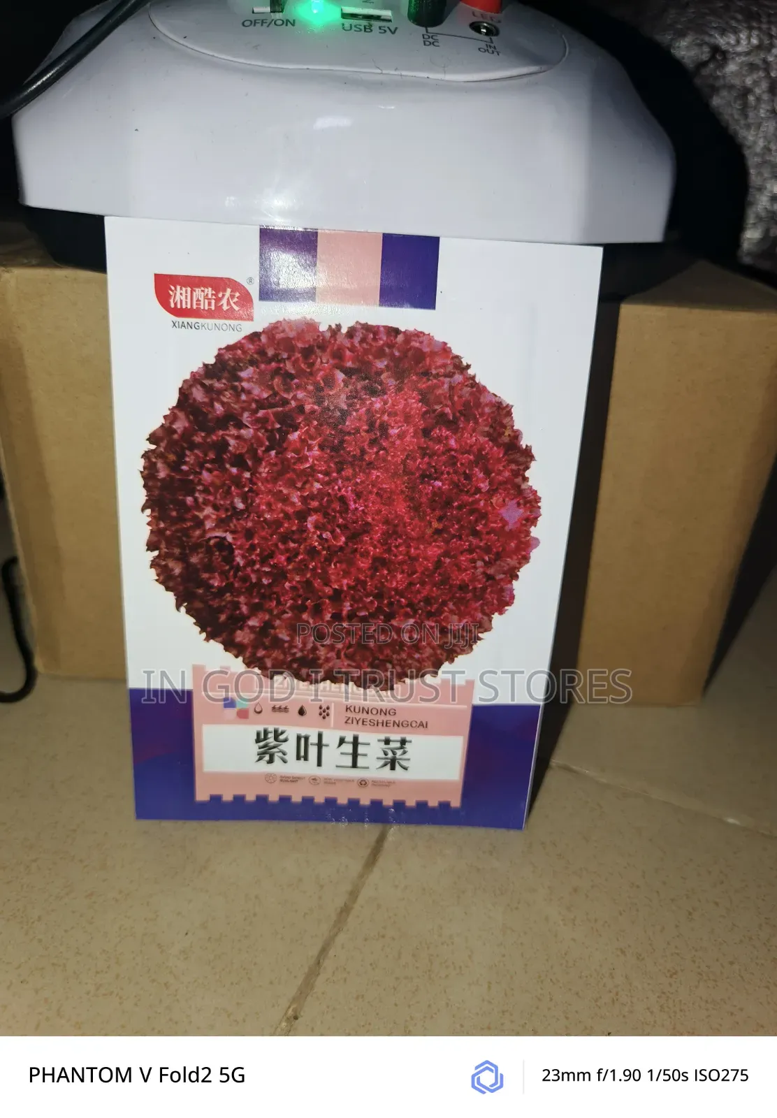 Purple Leaf Lettuce Seed