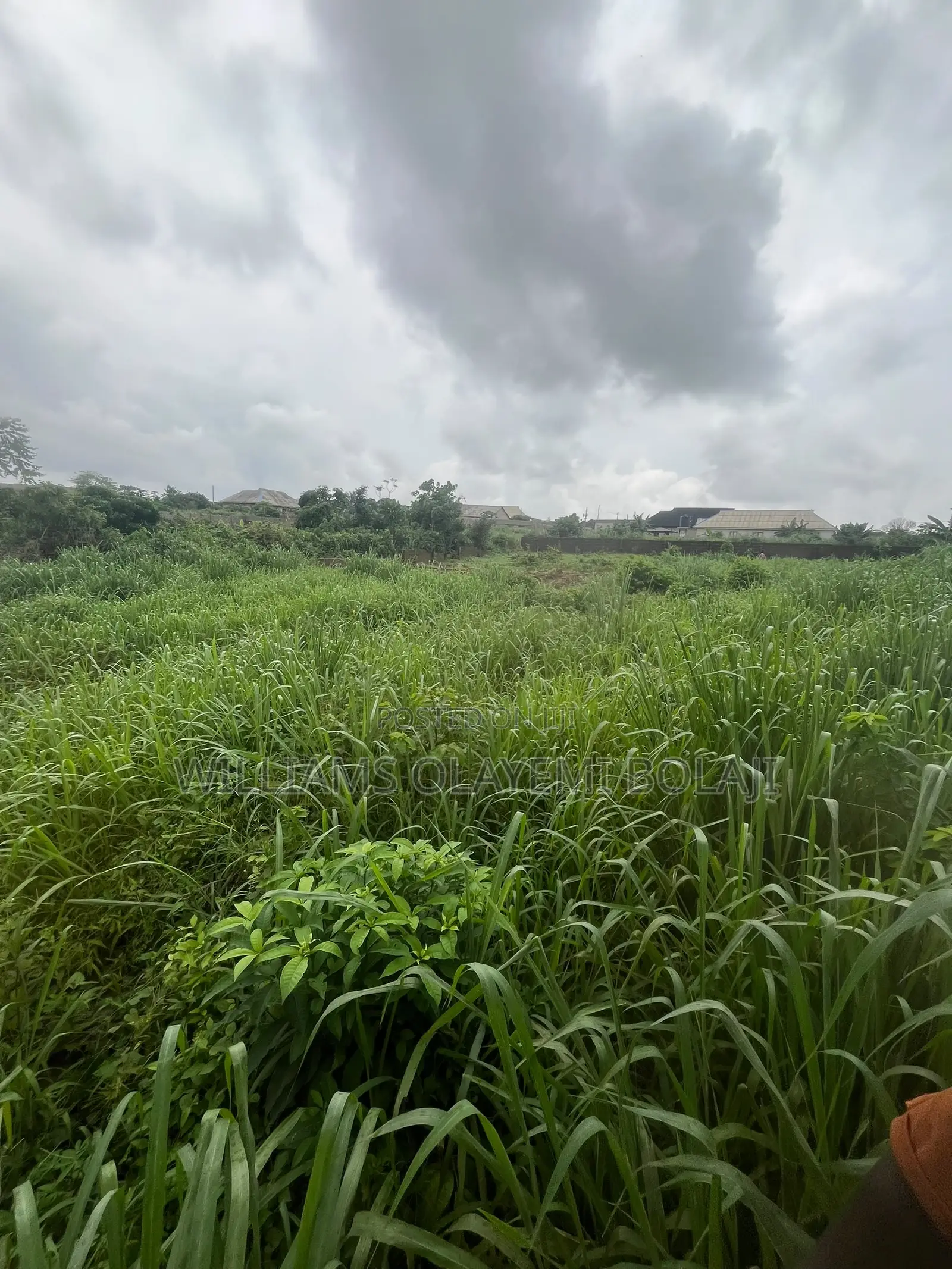 Two Full Plot of Land