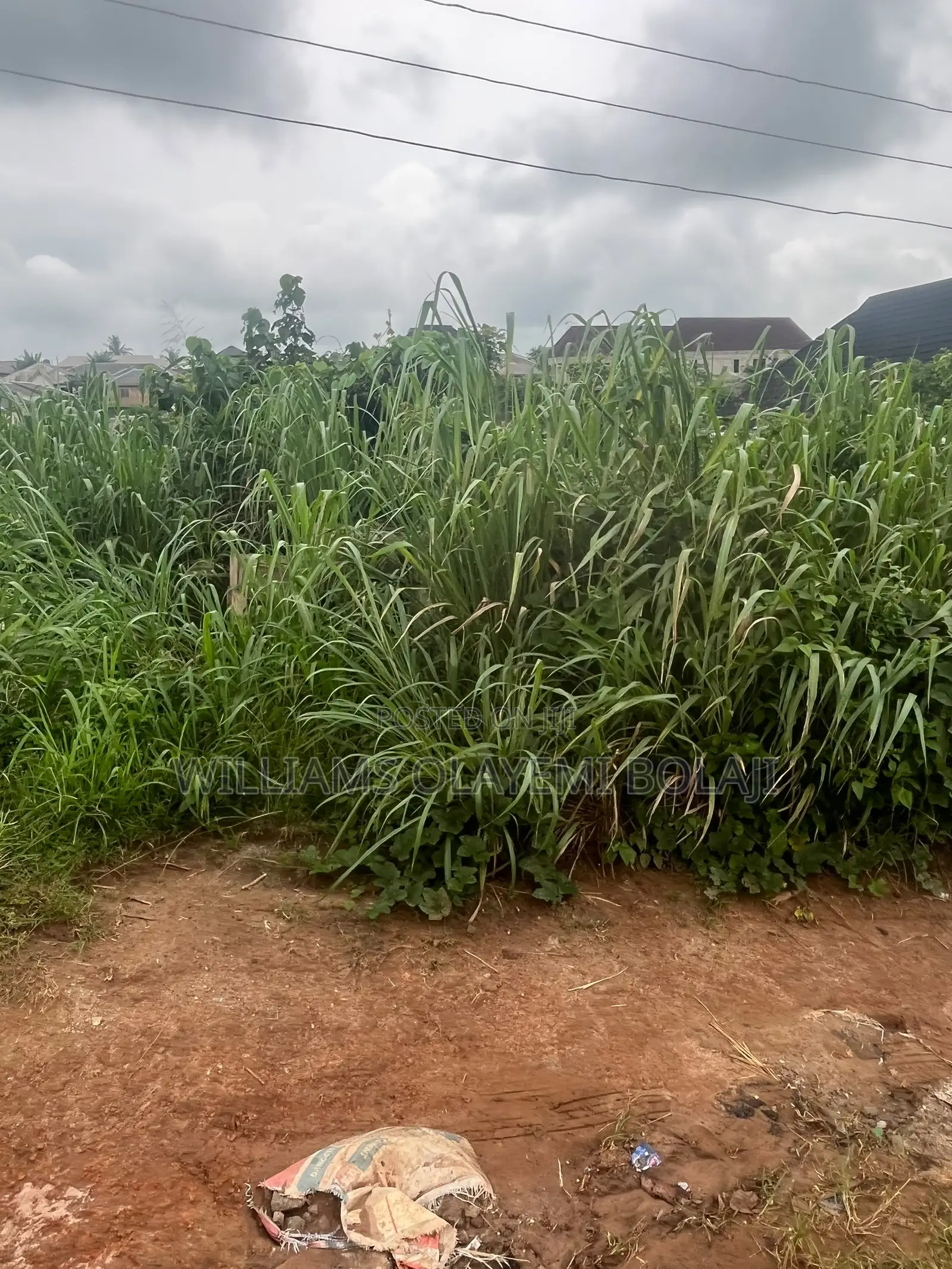 Two Full Plot of Land