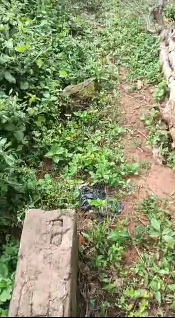 A Full Plot of Land for Sale