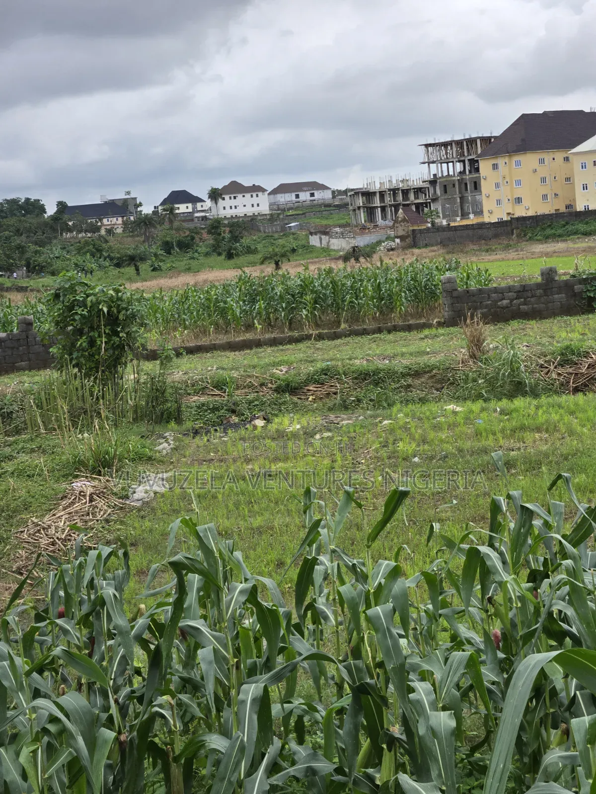 O God, Unbelievably True 1.63 Hectares Land Inside Town GUDU MKT 1.75b