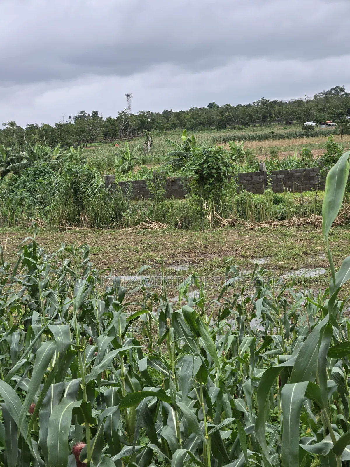 O God, Unbelievably True 1.63 Hectares Land Inside Town GUDU MKT 1.75b