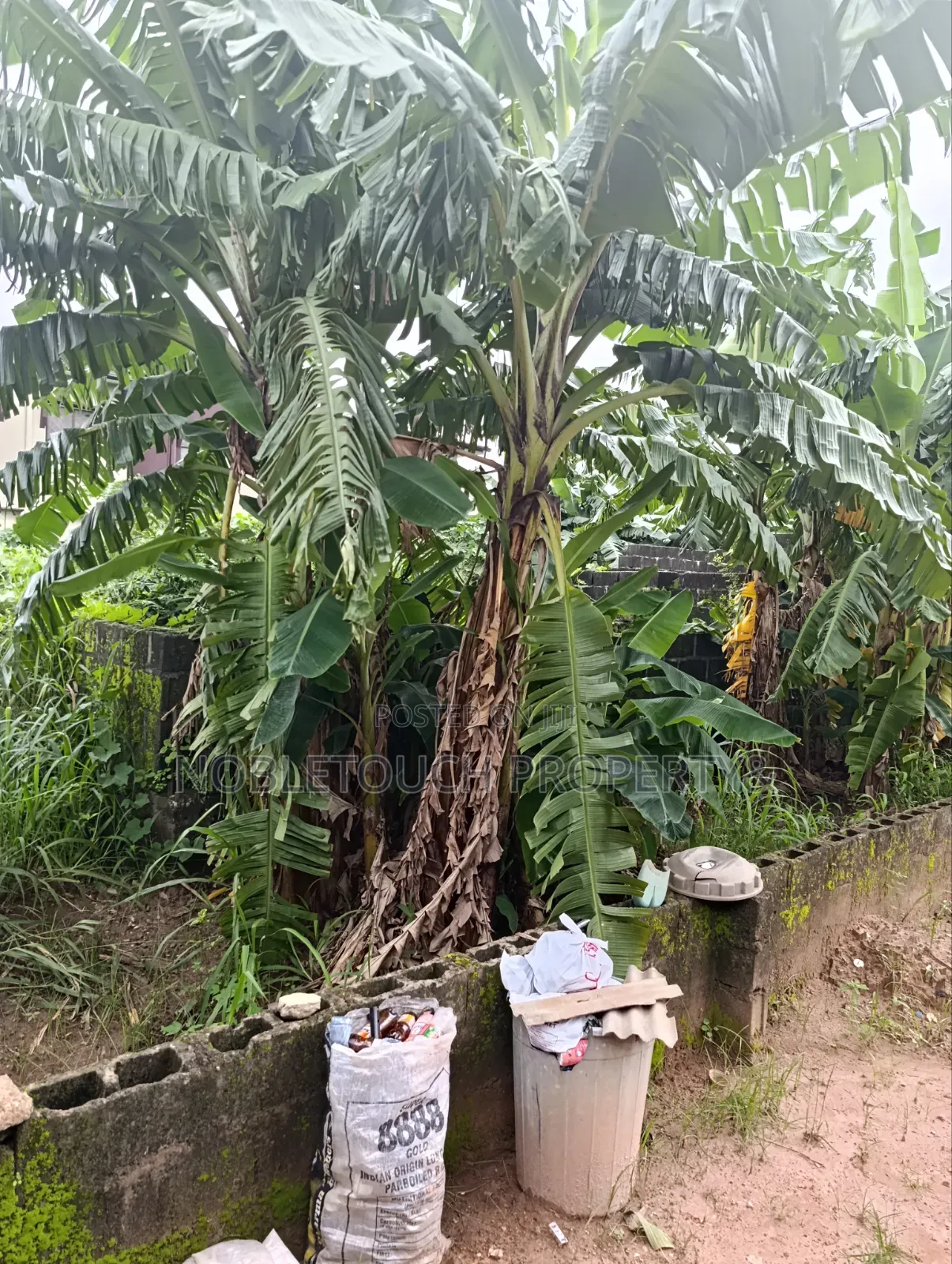 30plots Farm Land in Benin City Edo