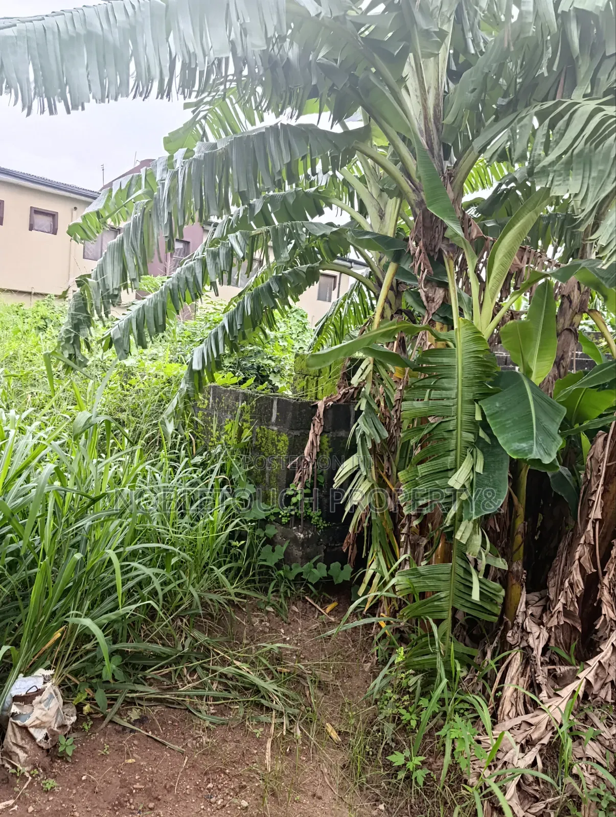 30plots Farm Land in Benin City Edo