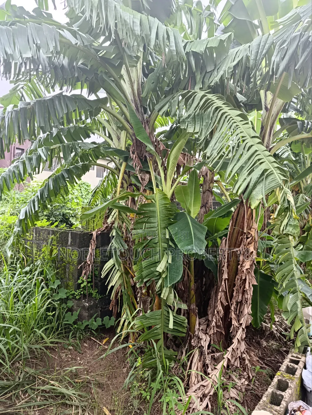 30plots Farm Land in Benin City Edo