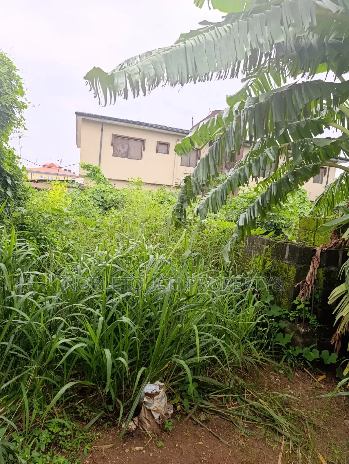 30plots Farm Land in Benin City Edo