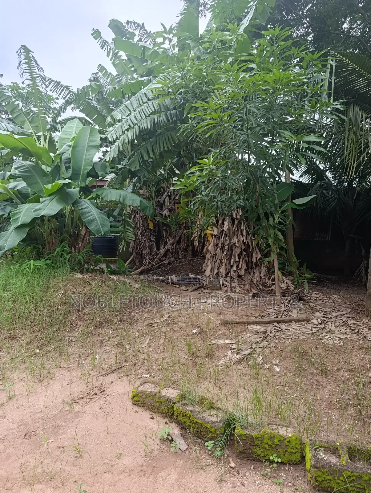 30plots Farm Land in Benin City Edo
