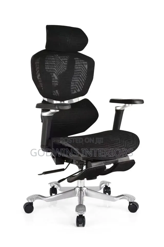 Premium Ergonomic Office Chair.