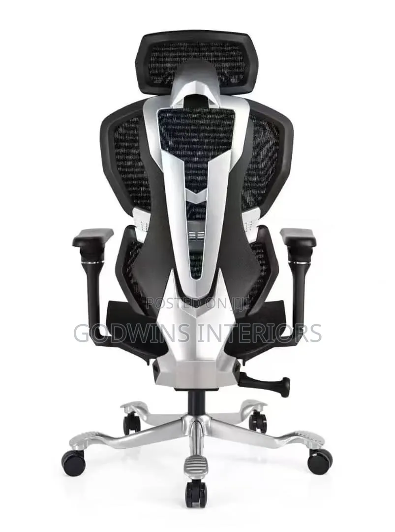 Premium Ergonomic Office Chair.