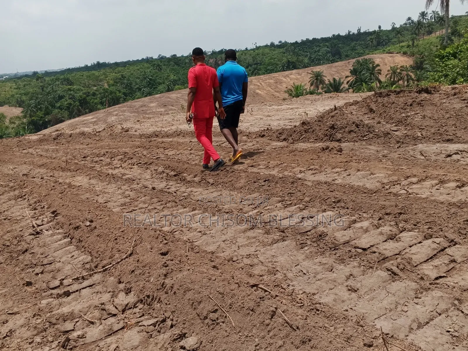 Oakwood City Estate Nsukwe Old Umuahia