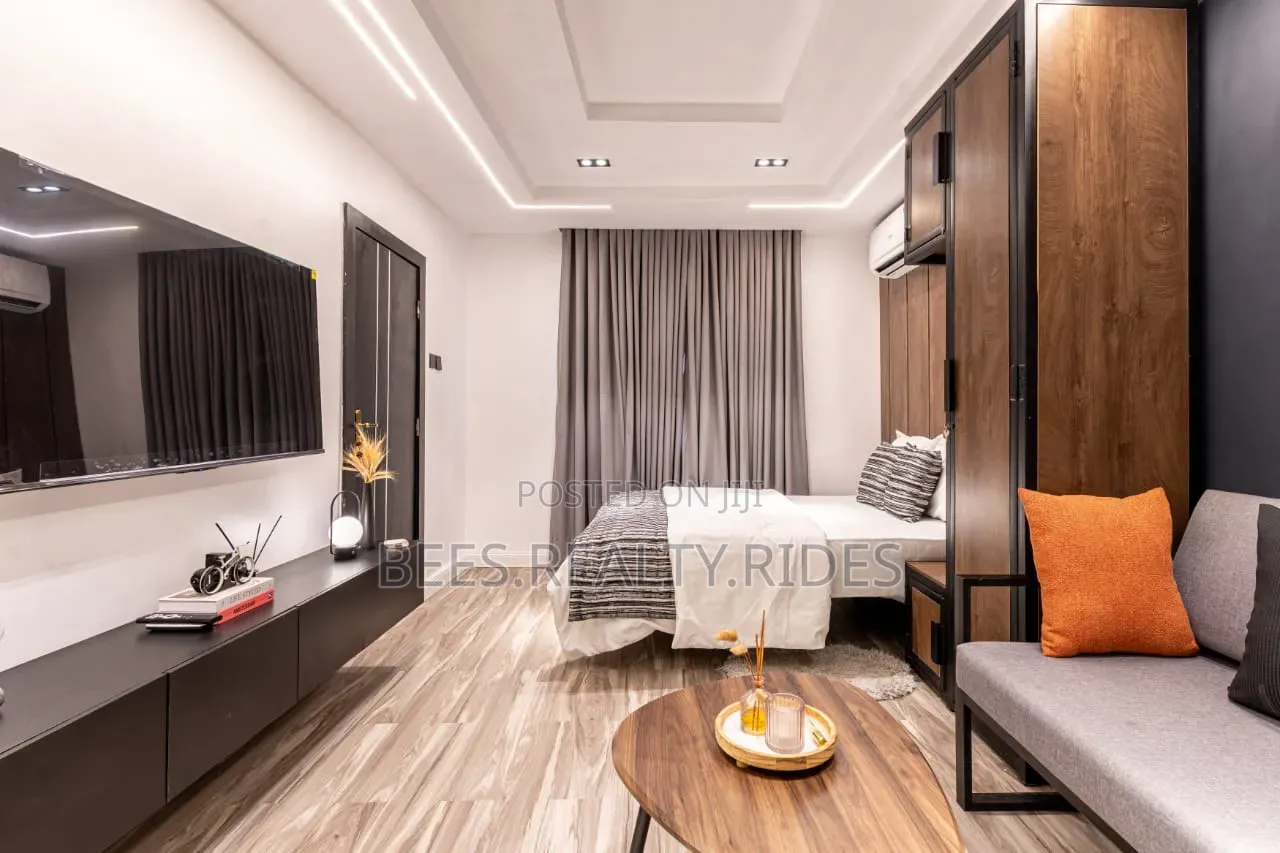 Deluxe Studio Apartment With a Work Station