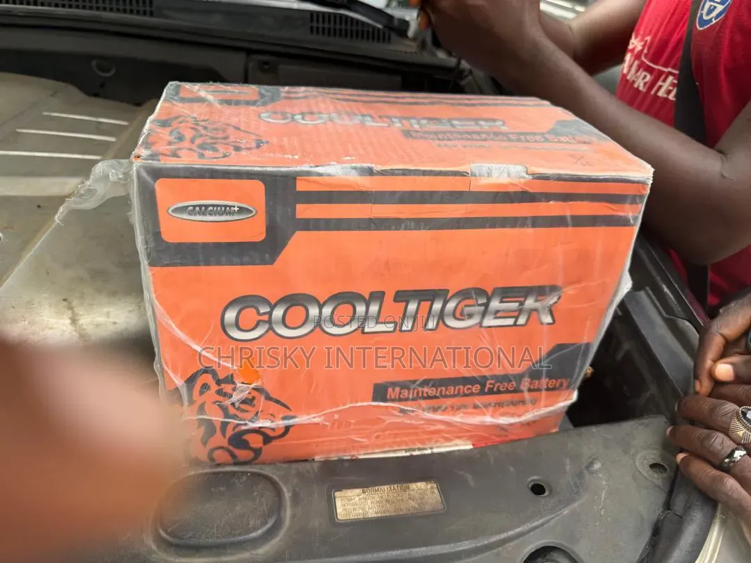 Original 75ahs Battery