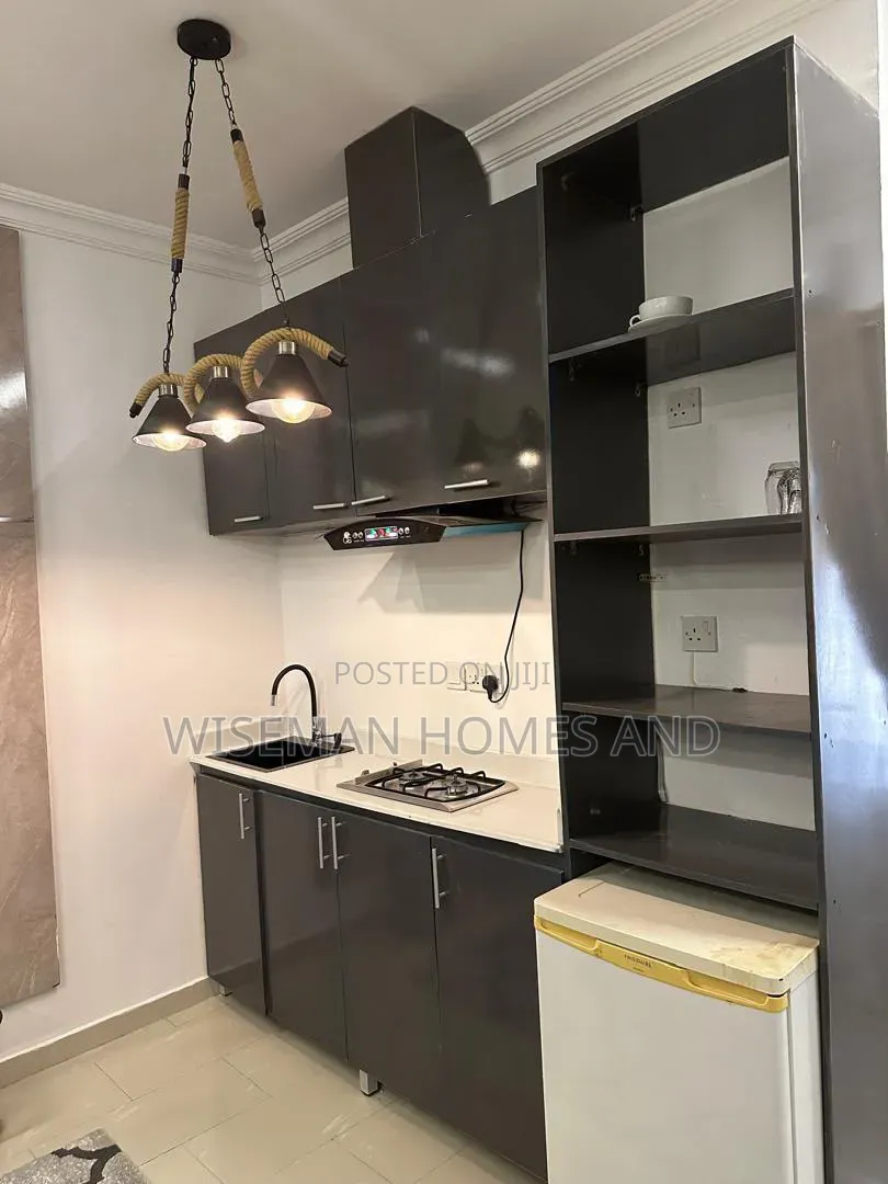 Furnished Mini Flat in Lekki Phase 1 for rent