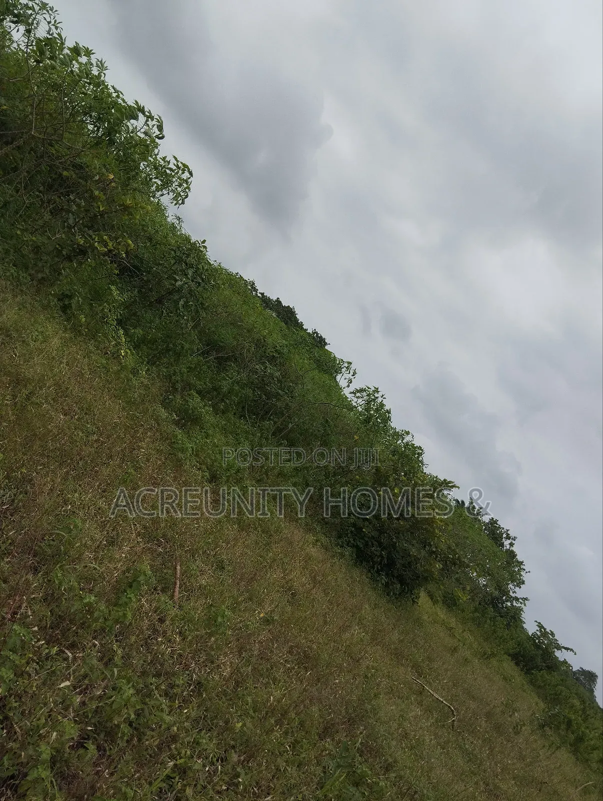 65 Acres of Farmland at Alofe Village Off Iseyin-Ogbomoso, Oyo State