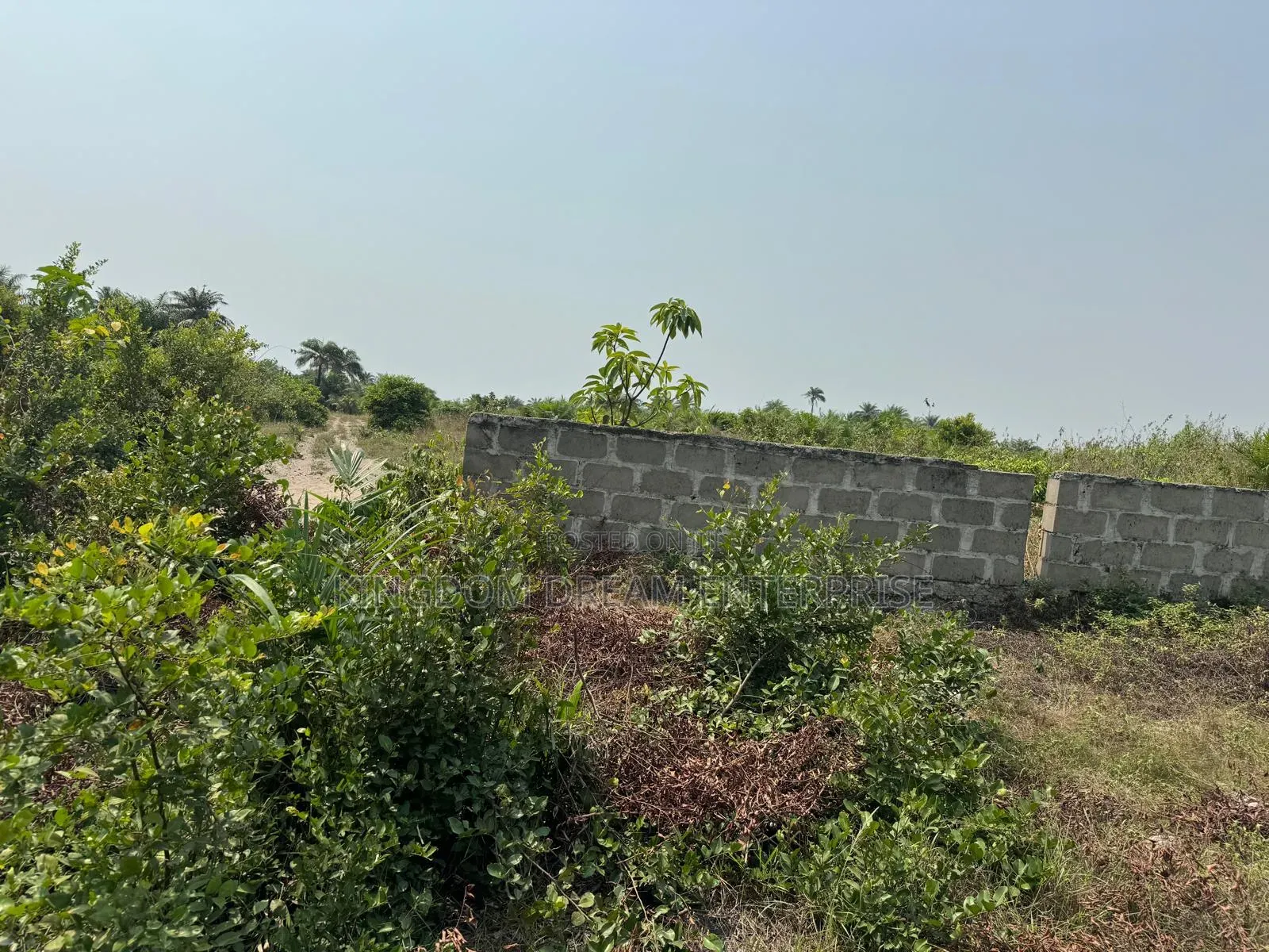 4,000SQM Residential Land Banana Island Ikoyi Lagos 4M Per SM