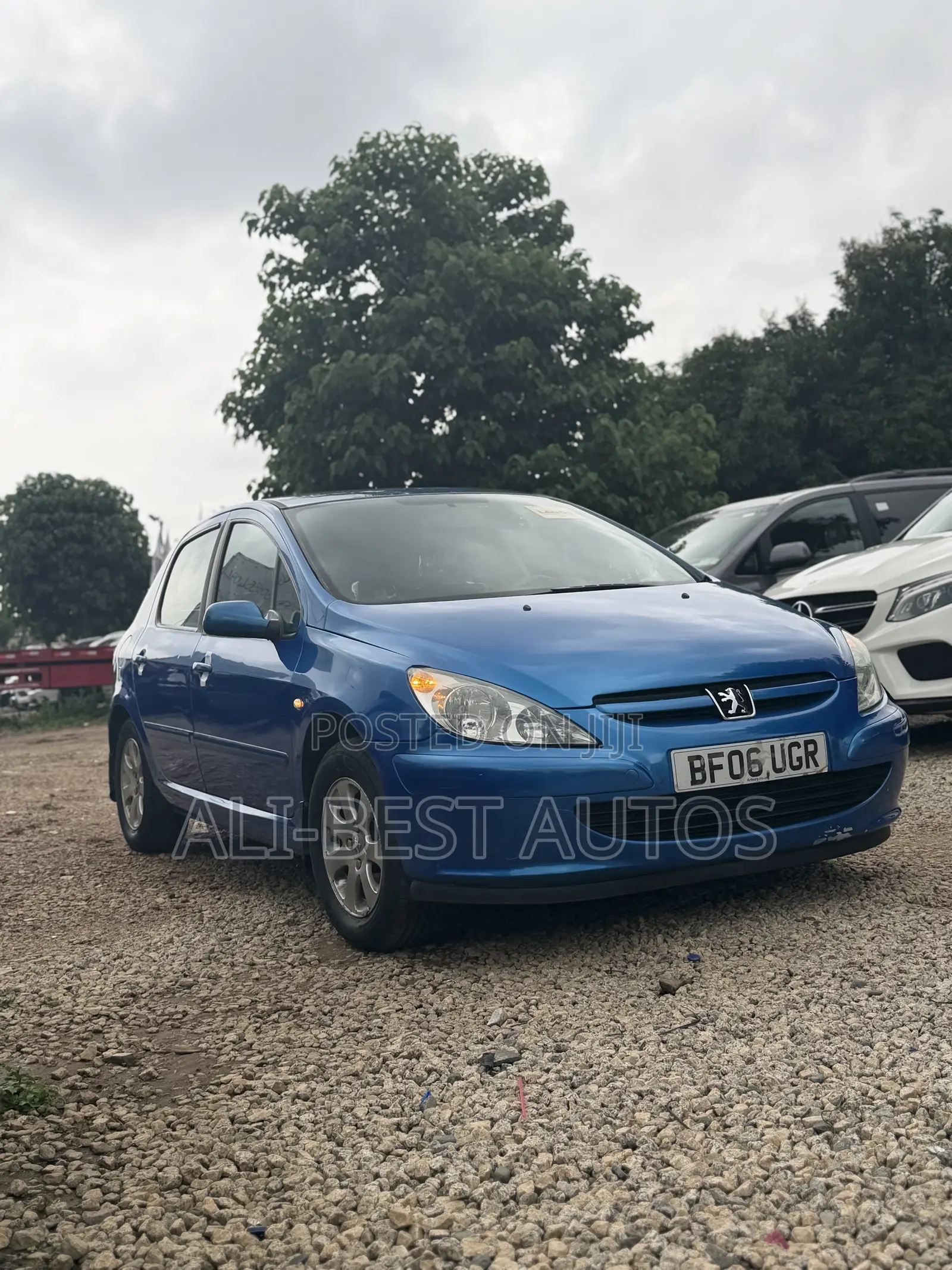 Peugeot 307 2009 Blue