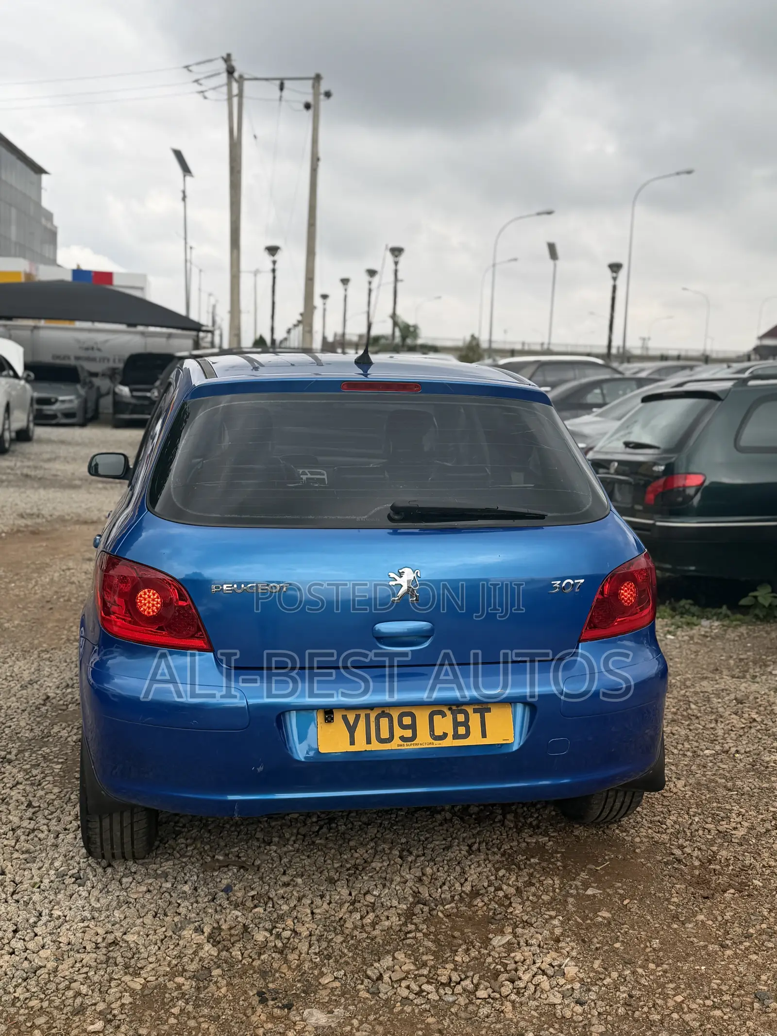 Peugeot 307 2009 Blue