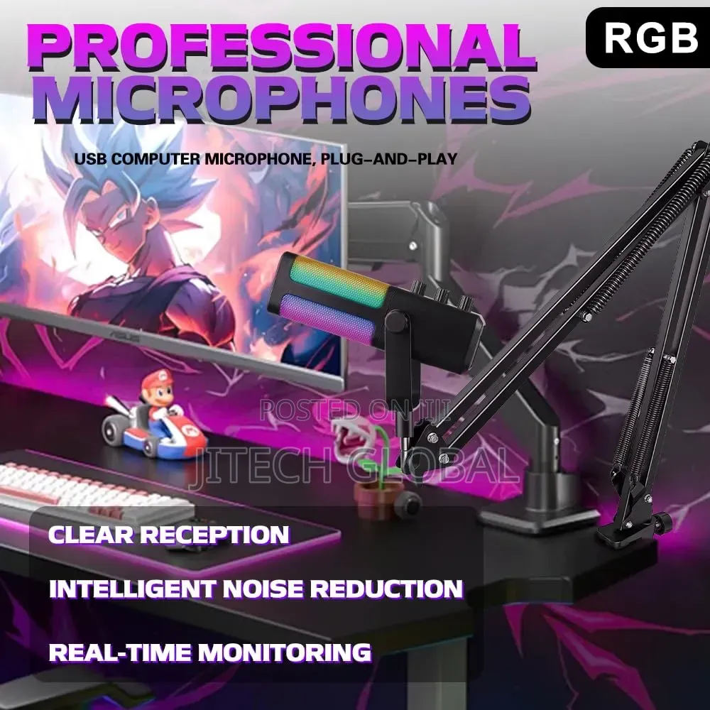 Professional Microphone Plug and Play