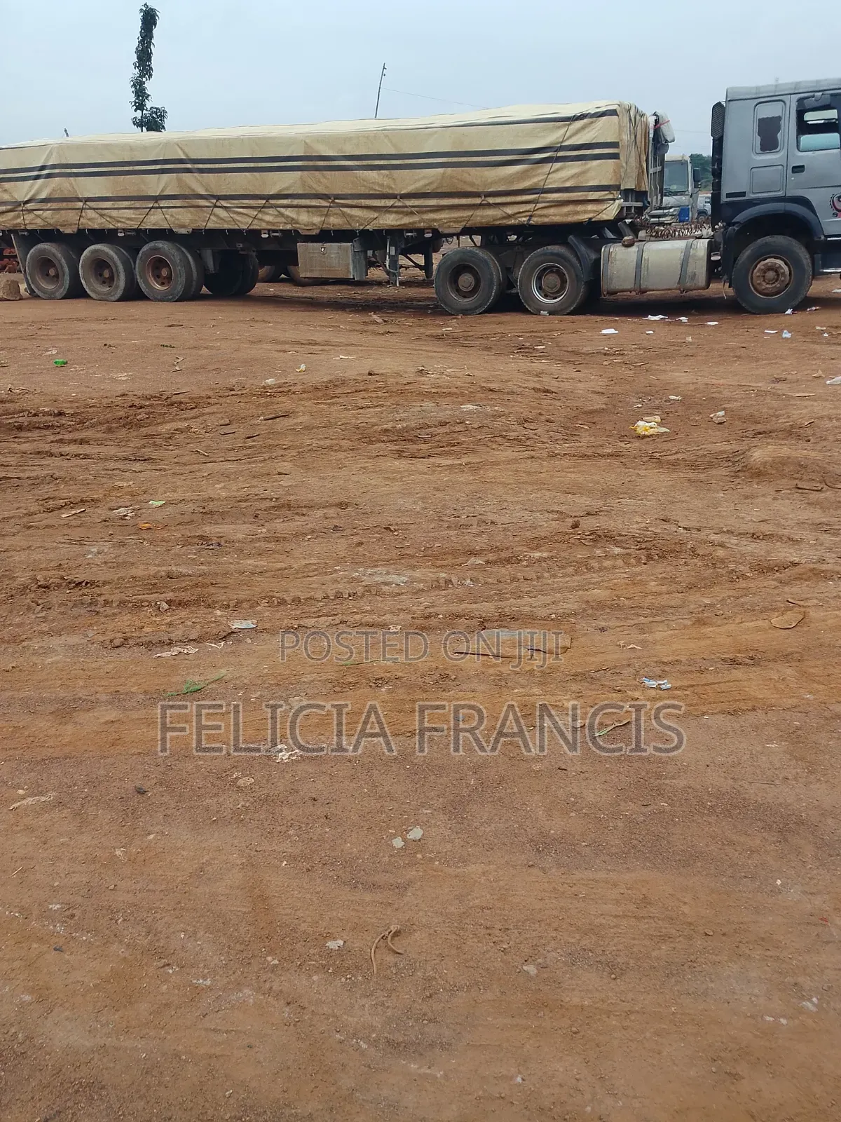 Dangote and Bua Cement Distributor