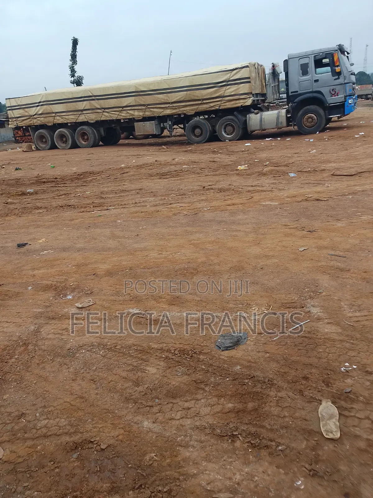 Dangote and Bua Cement Distributor