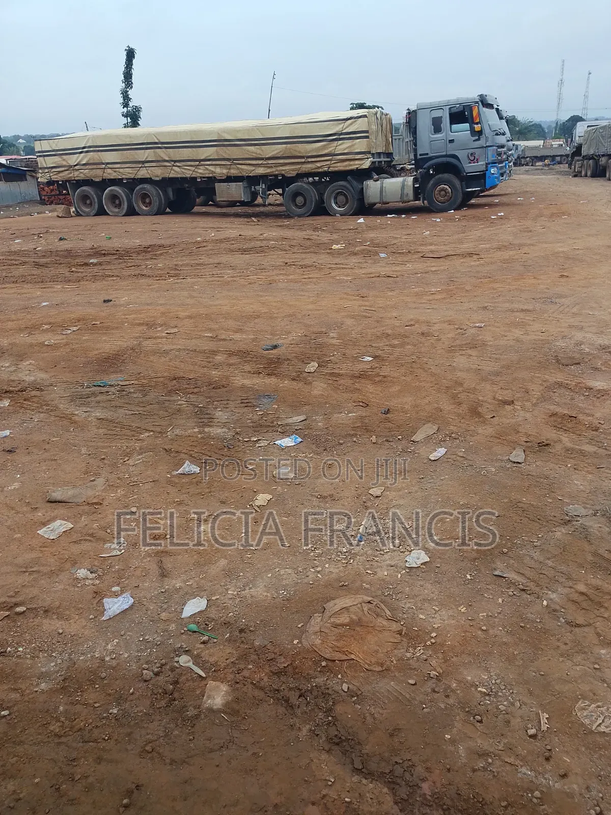 Dangote and Bua Cement Distributor