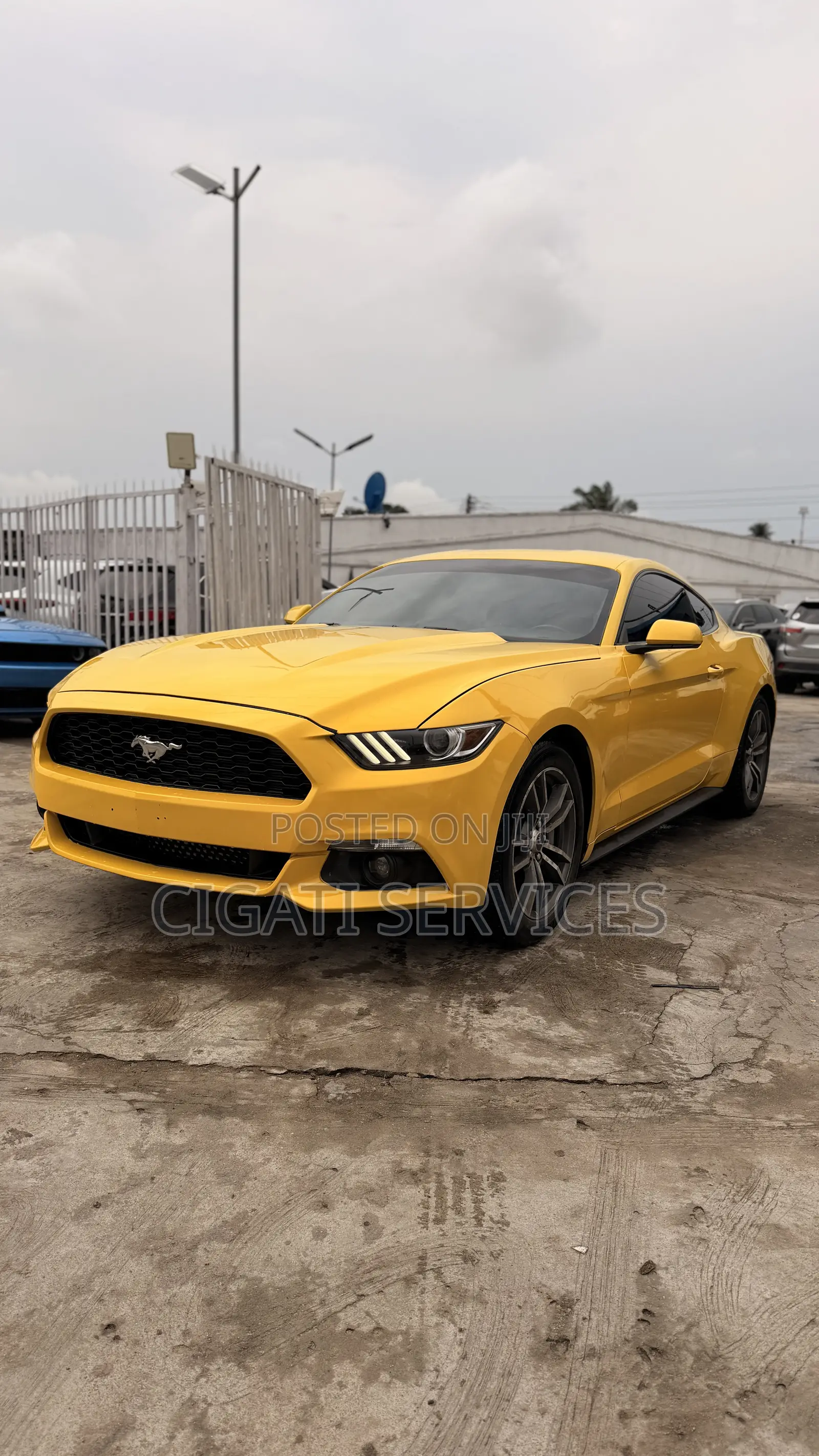 Ford Mustang EcoBoost 2dr Coupe (2.3L 4cyl Turbo 6M) 2015 Yellow
