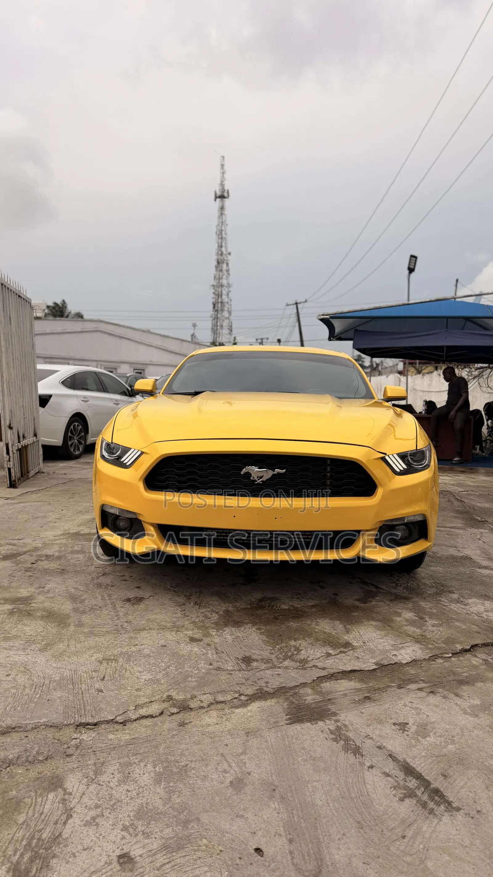 Ford Mustang EcoBoost 2dr Coupe (2.3L 4cyl Turbo 6M) 2015 Yellow