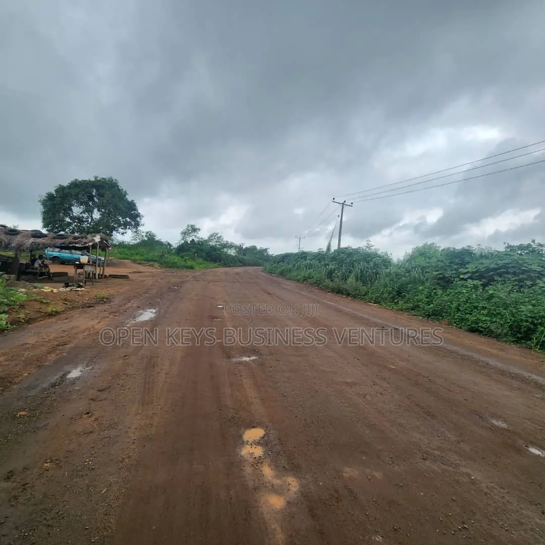 4 Plots of Land in a Nice Area