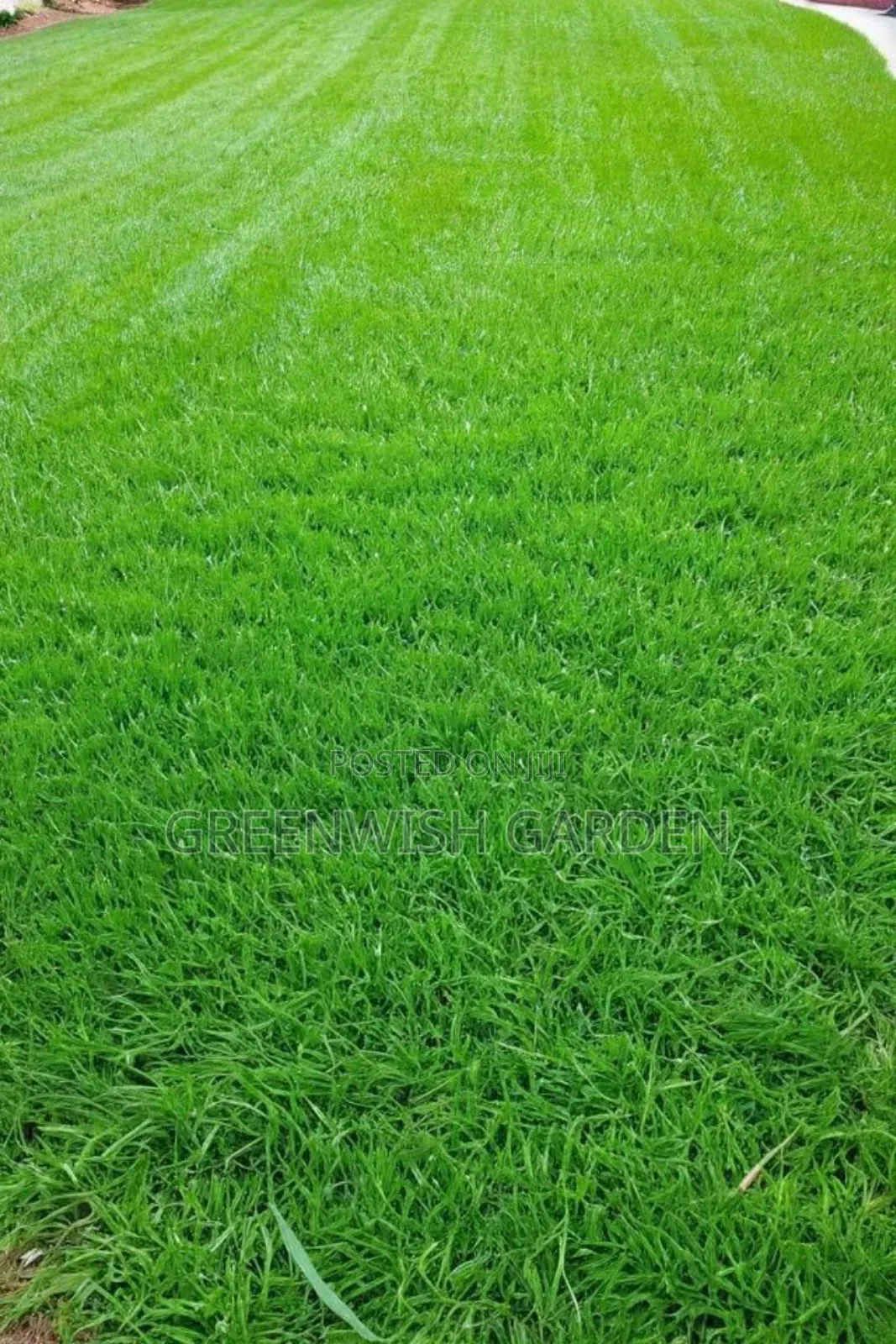 Garden and Landscaping