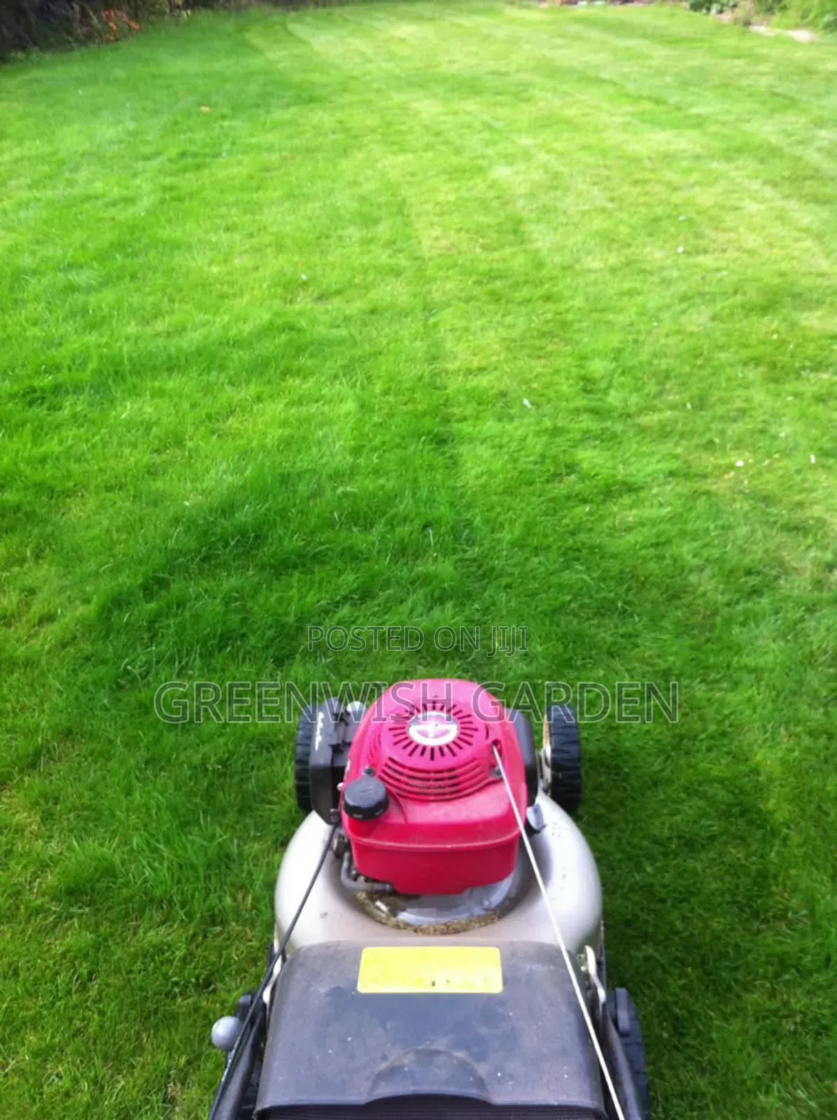 Garden and Landscaping