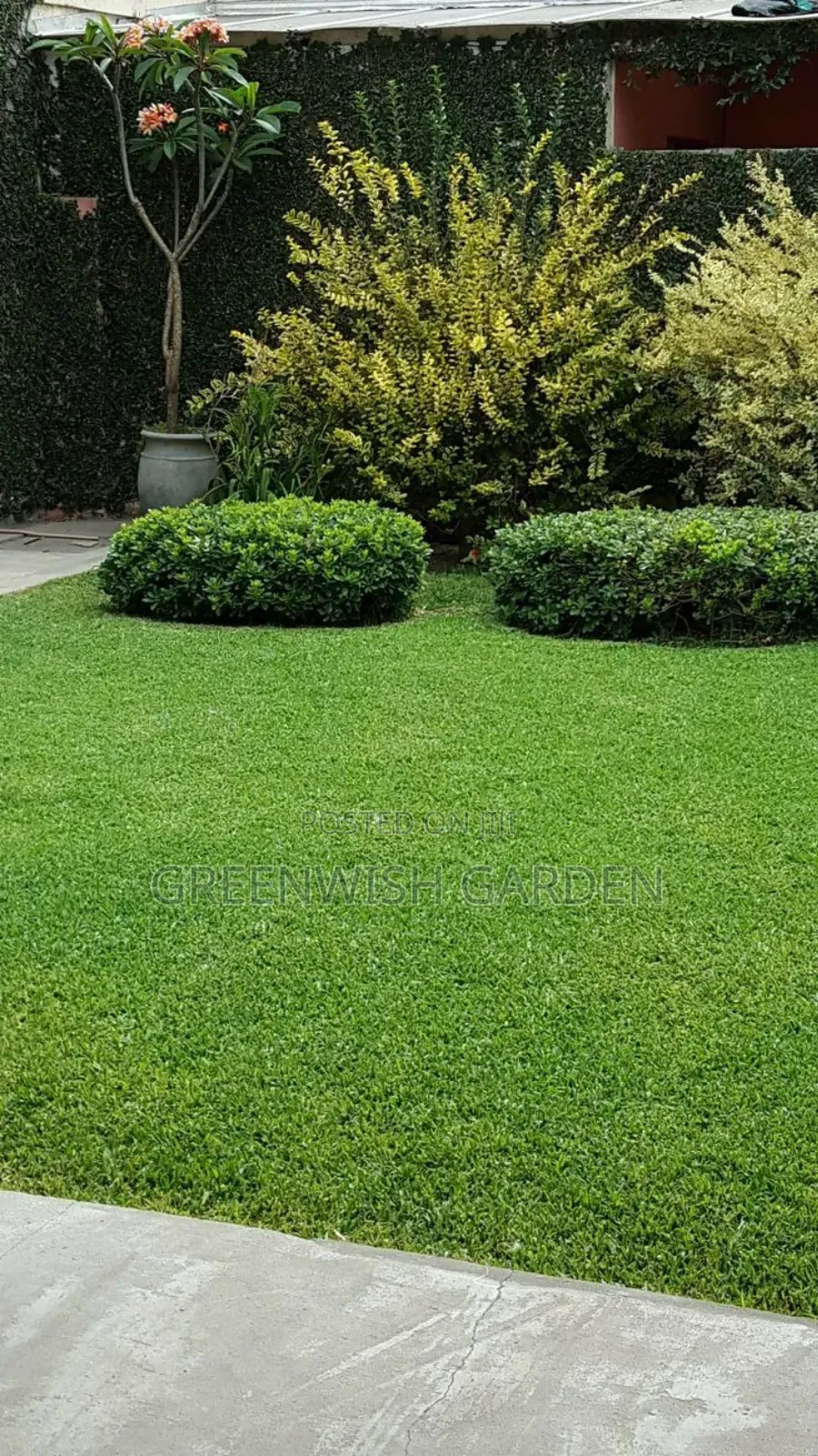 Garden and Landscaping