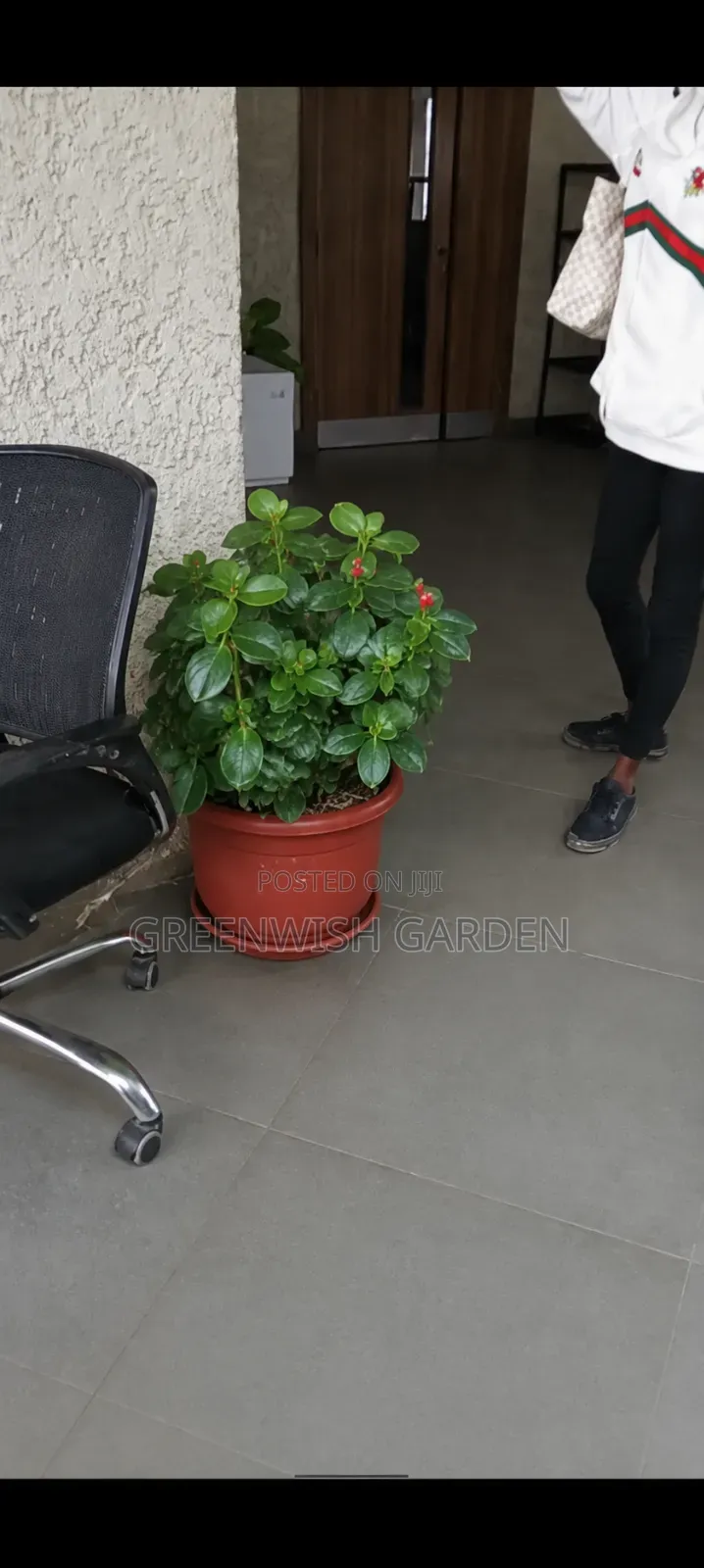Flowers and Ornamentals