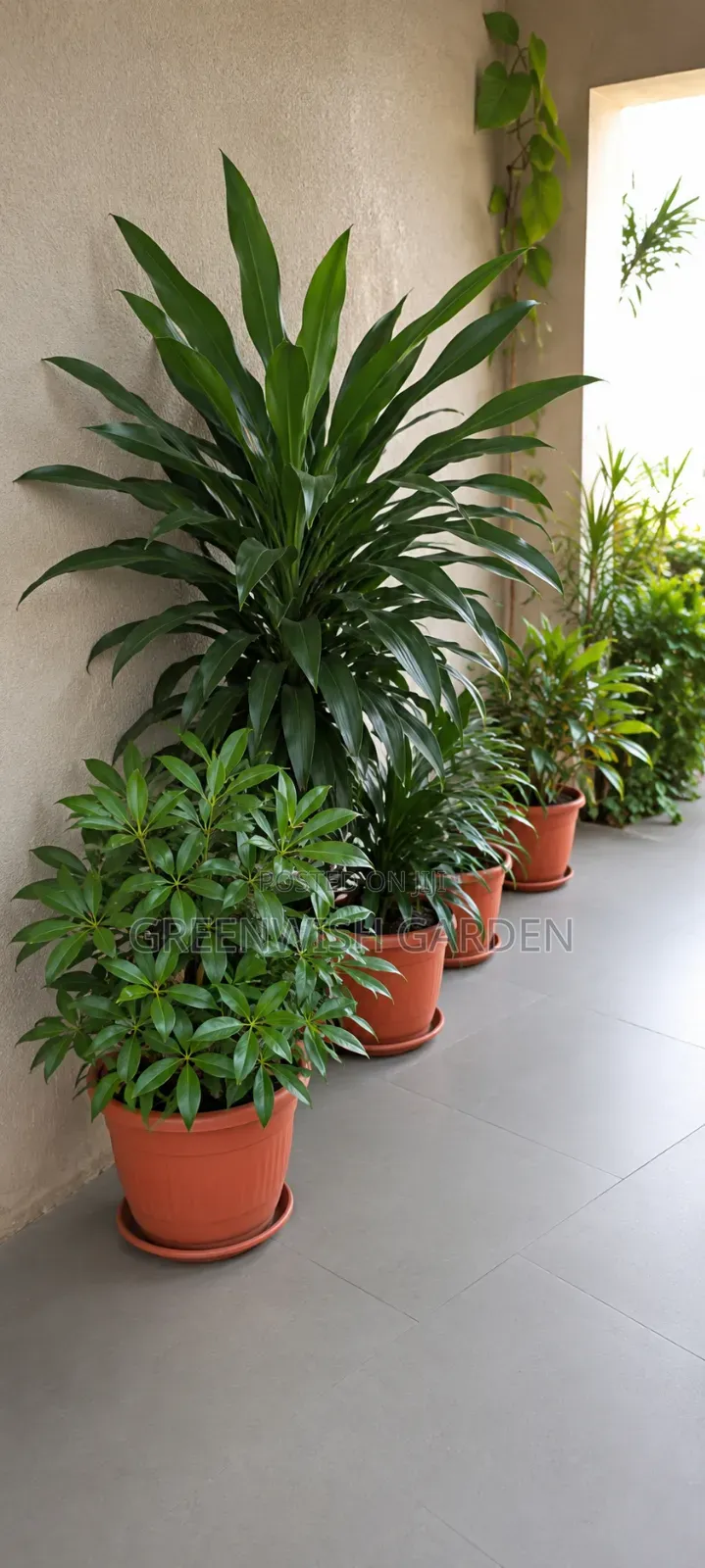 Flowers and Ornamentals