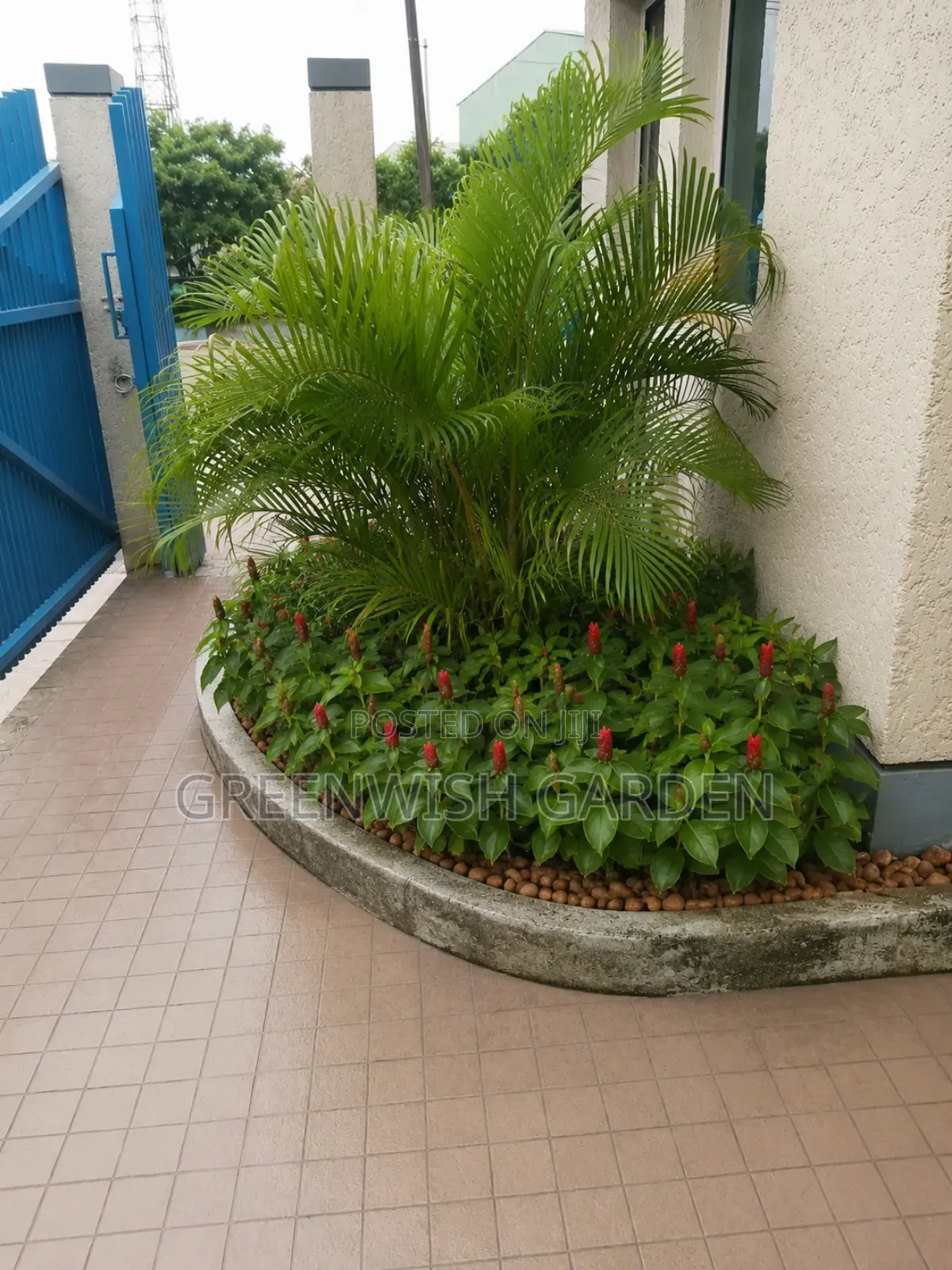 Flowers and Ornamentals