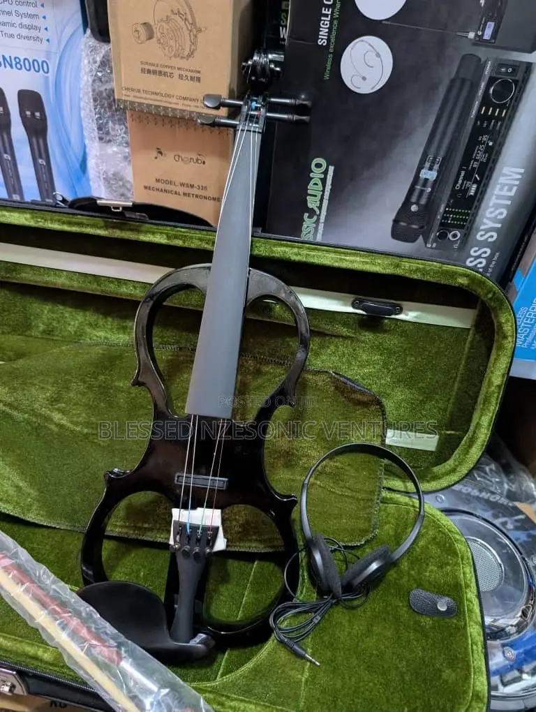 Professional Electric Violin