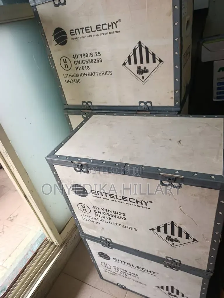 5kwh Entelechy Lithium Battery 24volts