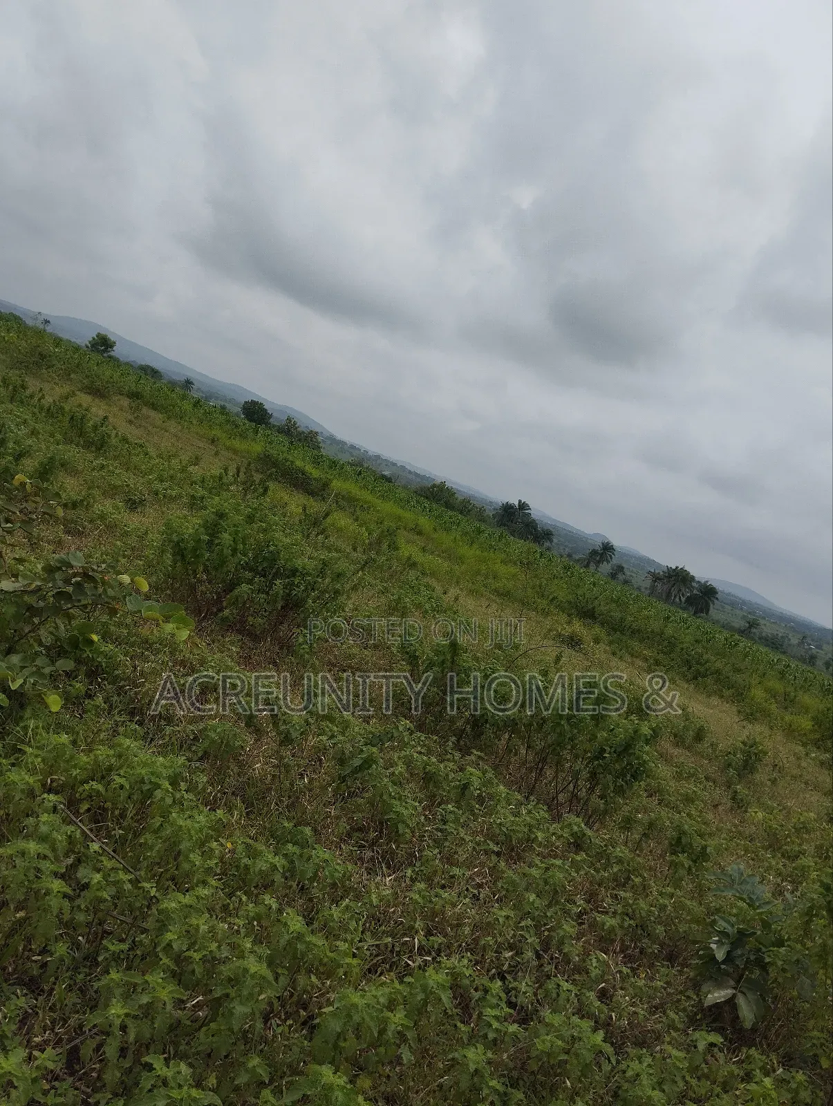 550 Acres of Fertile Farmland for Sale, Iganna, Iwajowa Lga, Oyo State