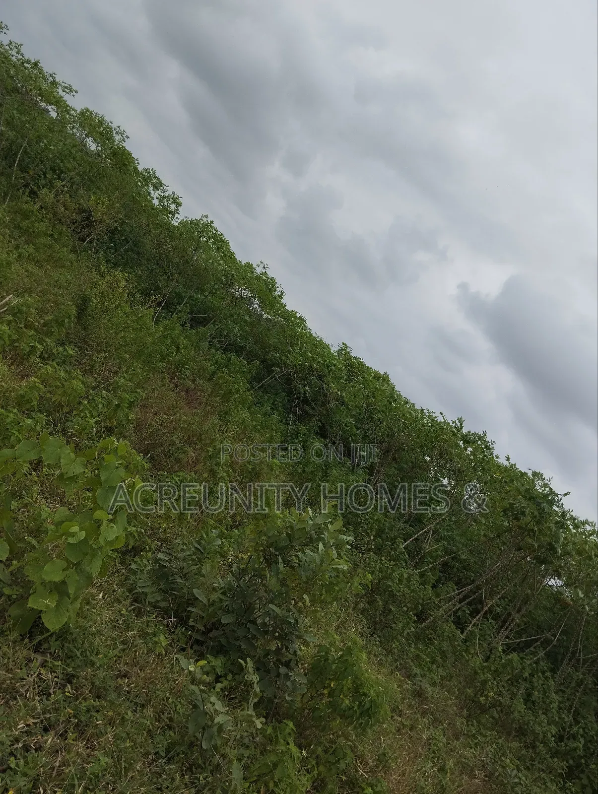 550 Acres of Fertile Farmland for Sale, Iganna, Iwajowa Lga, Oyo State