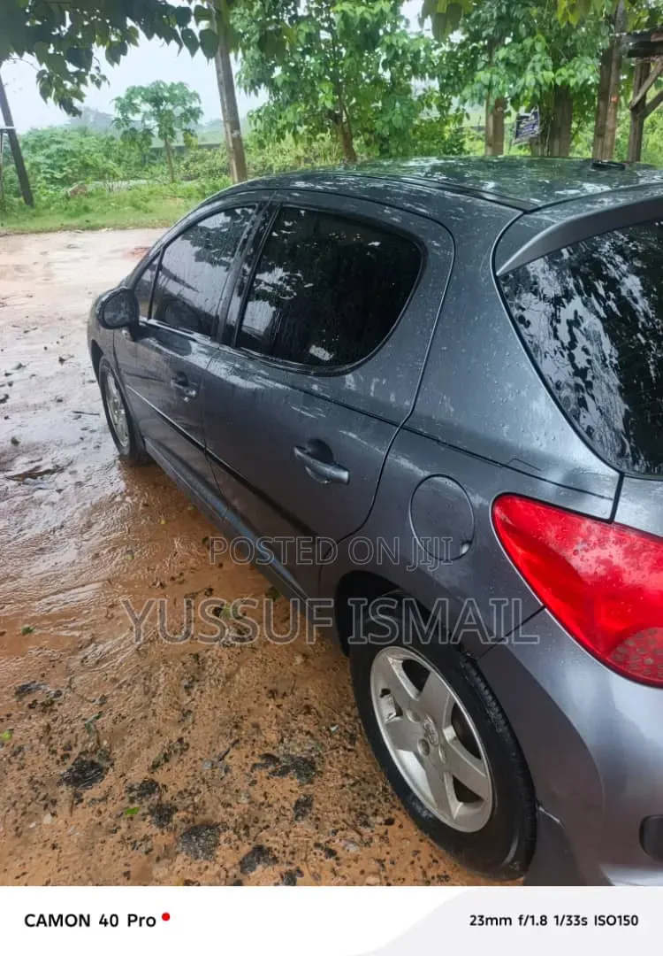 Peugeot 207 2008 Gray