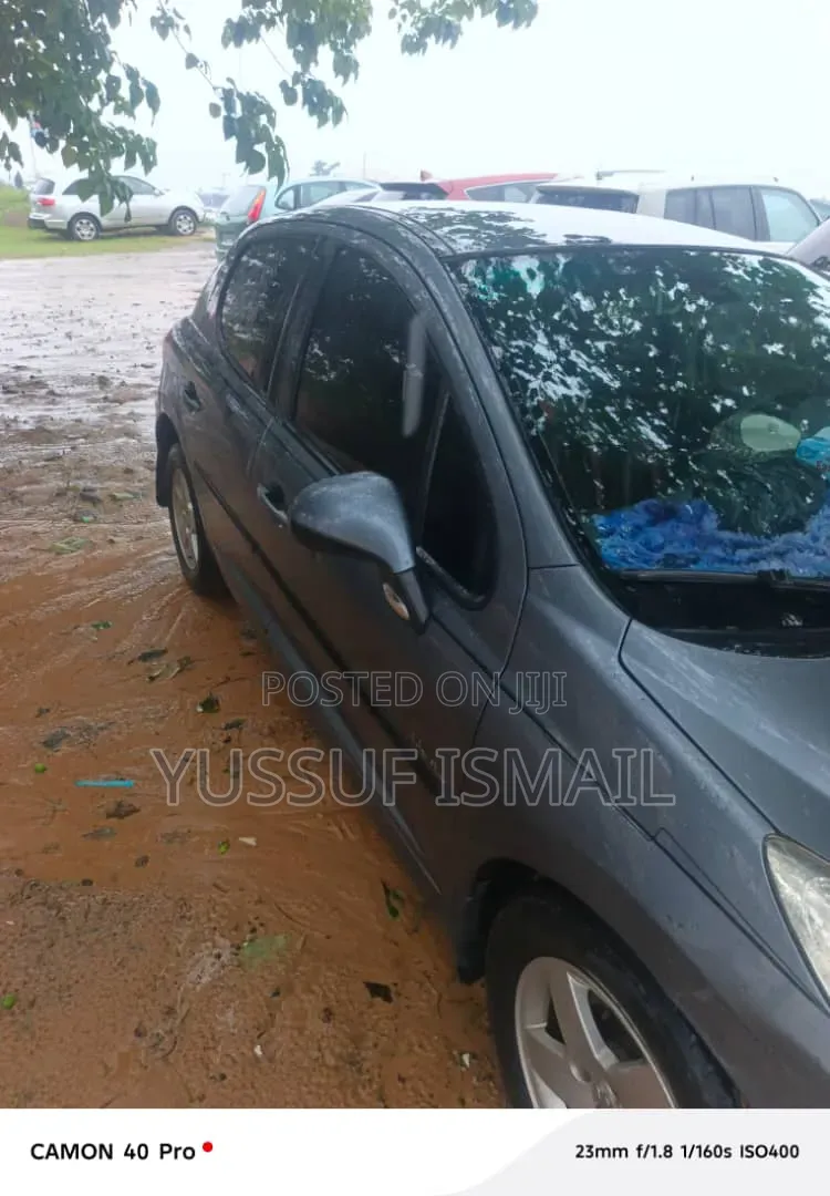 Peugeot 207 2008 Gray