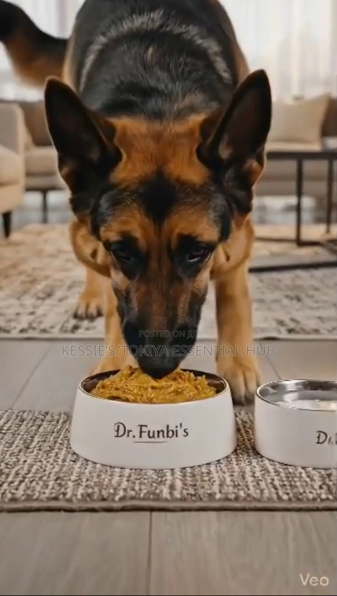 Premium Puppy Adult Dog Food (Powdered)