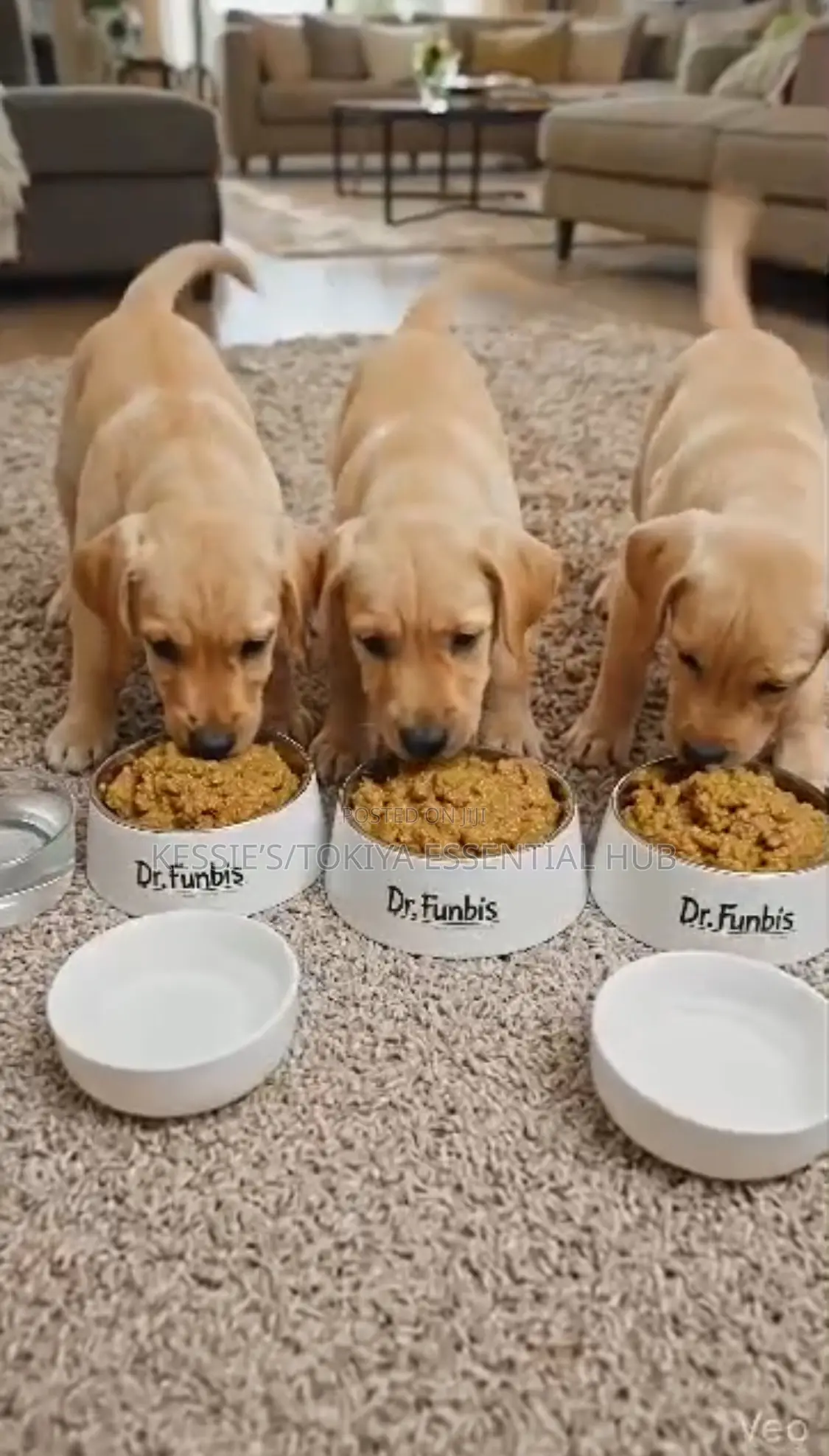 Premium Puppy Adult Dog Food (Powdered)