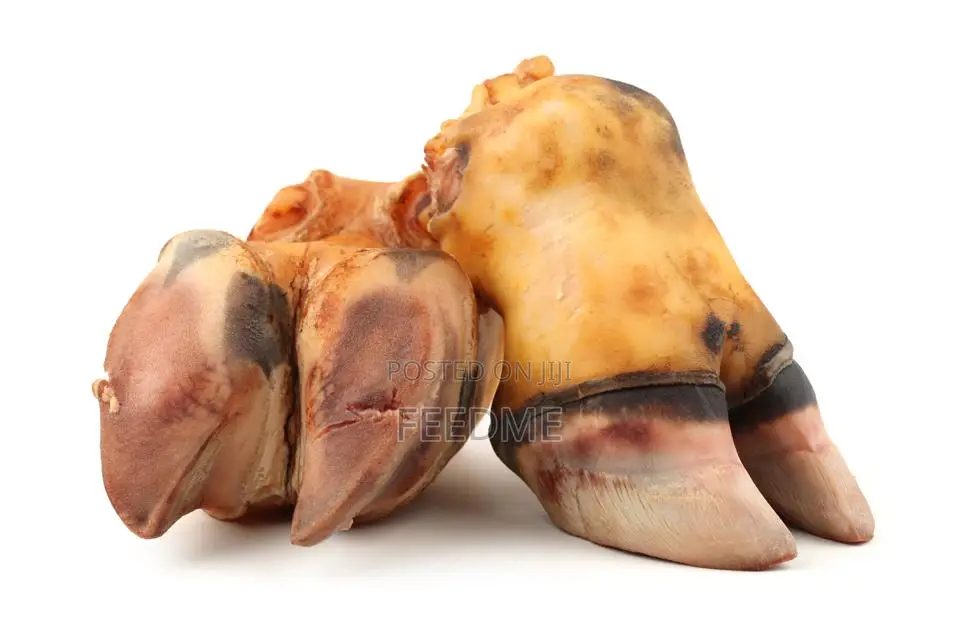 Cow Leg (Big Size)
